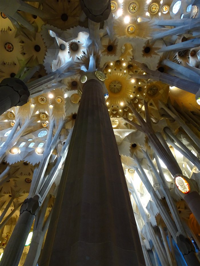 Looking up into the tree-like stone columns and canopy ceiling inside the Sagrada Fam&iacute;lia basilica in Barcelona
